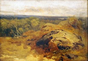 Landscape Landscape