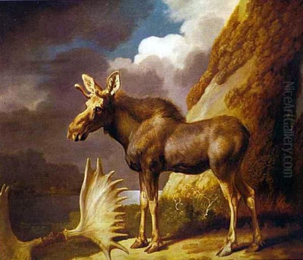 The Moose - view 1