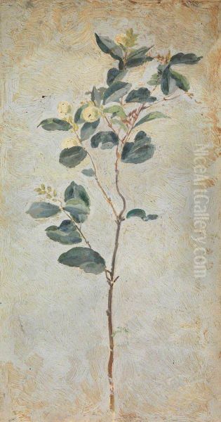 A plant (recto) A profile of a girl (verso) - view 1