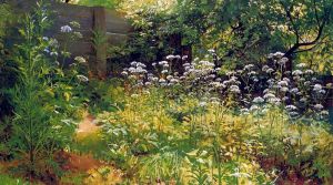 Corner of overgrown garden. Ground elder by Ivan Shishkin