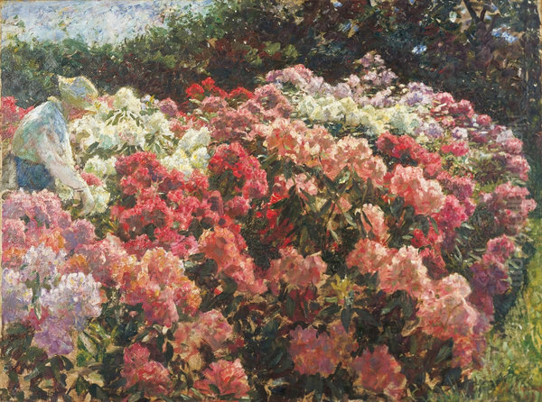 Rhododrendron in Tuxen's garden - view 1