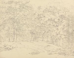Trees in Ashtead Park, Surrey by Thomas Hearne