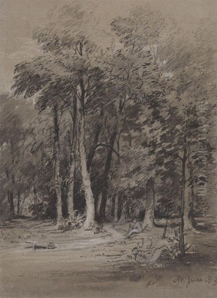 A Wooded Track - view 1