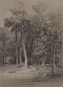 A Wooded Track A Wooded Track