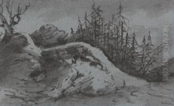 Composition of Rocks and Pine Trees - view 1