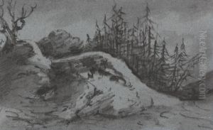 Composition of Rocks and Pine Trees Composition of Rocks and Pine Trees