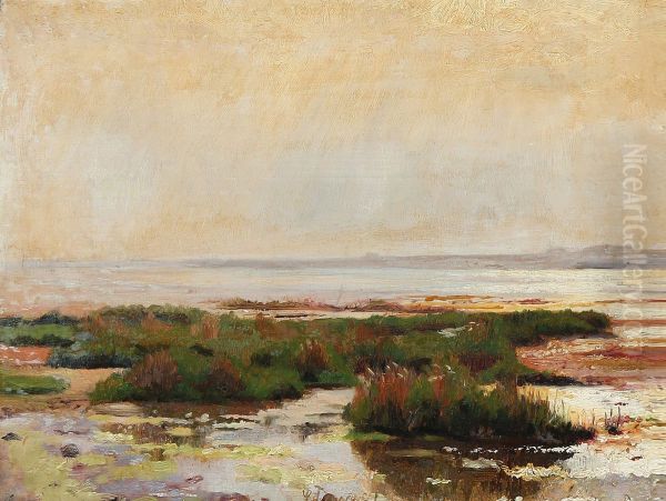 Sunshine on a shallow coast - view 1