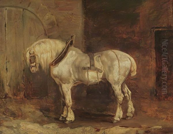A Cart-Horse - view 1