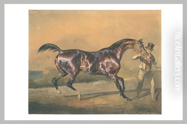 Cheval a l'entrainement - view 1