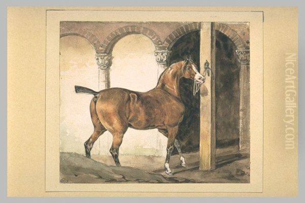 Cheval francais attache devant des arcades - view 1