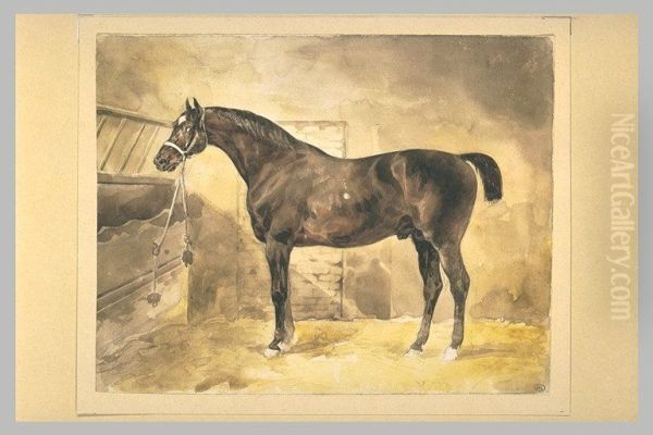 Cheval bai, a l'ecurie - view 1