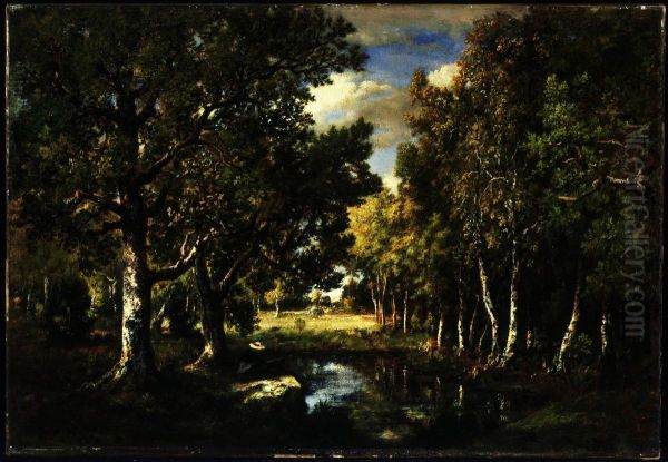 Landscape - view 1