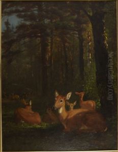 Deer in Forest by Arthur Fitzwilliam Tait