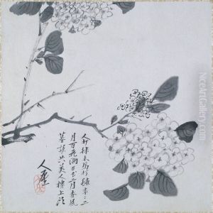 Branch of Hydrangea