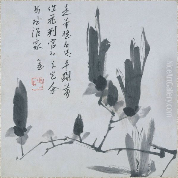 Branch of Magnolia - view 1