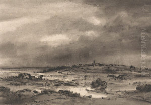 Marshland Landscape