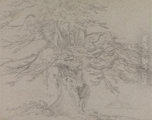 Tree Study by Sir George Beaumont, 7th Baronet