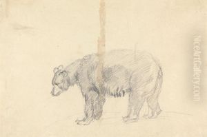 Study of a Bear by Sawrey Gilpin