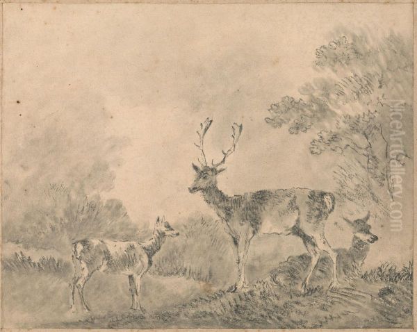 Stag, Doe and Fawn in a clearing - view 1