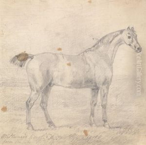 Mr. Plumer's Horse by Sawrey Gilpin