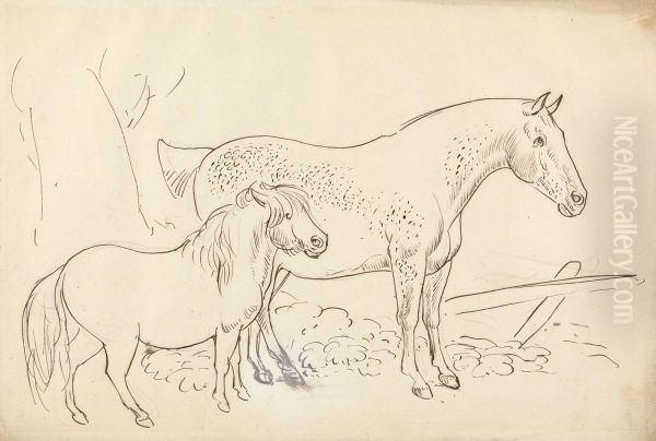 Horse and Pony - view 1