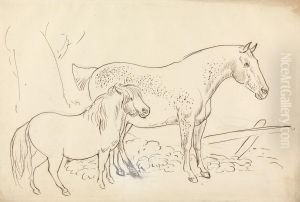 Horse and Pony Horse and Pony