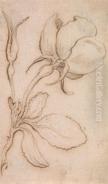 A Study in Pinks and Roses - view 1
