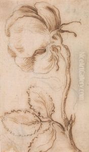 A Study of Pinks and Roses by Stefano della Bella