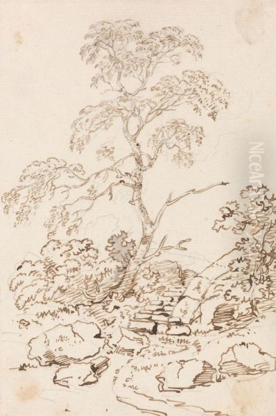 Tree by Steps - view 1