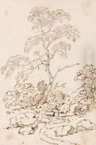 Tree by Steps by Sir George Beaumont, 7th Baronet
