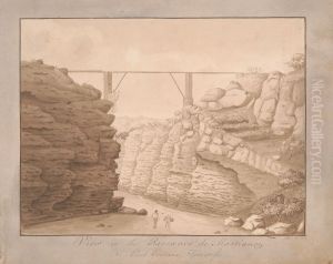 View in the Barranco de Martianez, Port Orotava, Tenerife, looking Southward by Alfred Diston