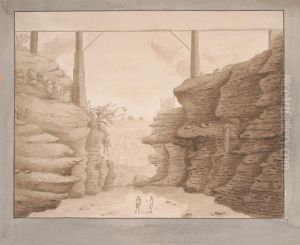 View in the Barracano de Martianez, Port Orotava, Tenerife, looking Northward by Alfred Diston