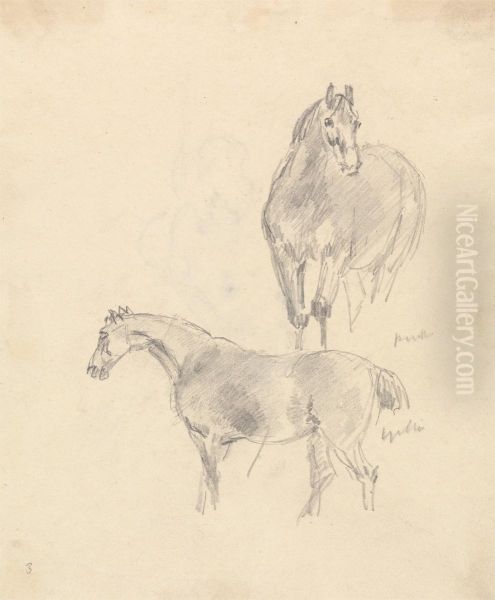 Study of Two Horses - view 1
