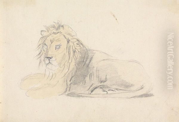 Study of a Lion - view 1