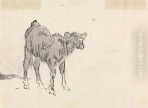 Study of a Calf by Sawrey Gilpin