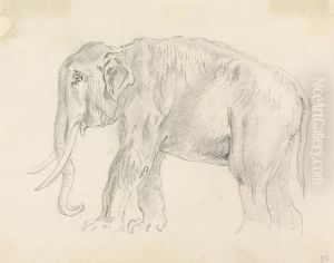 Study of an Elephant by Sawrey Gilpin
