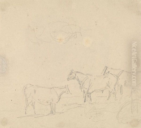 Study of Cattle - view 1