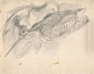 Study of a Dead Woodcock and Another Bird