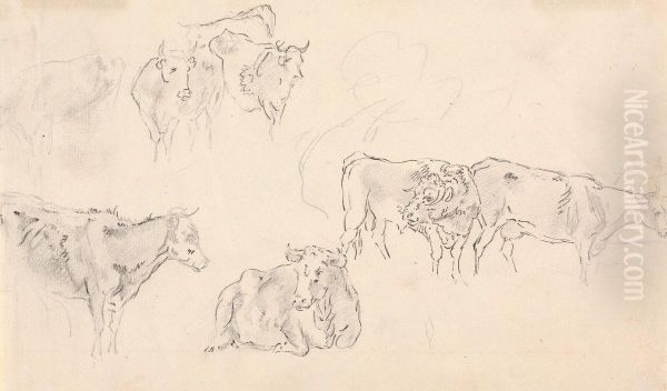 Cows with Bull in the Foreground - view 1