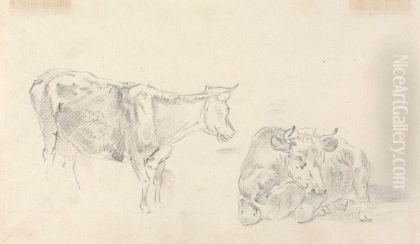 Standing cow facing right and a cow lying down - view 1