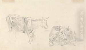 Standing cow facing right and a cow lying down by Sawrey Gilpin