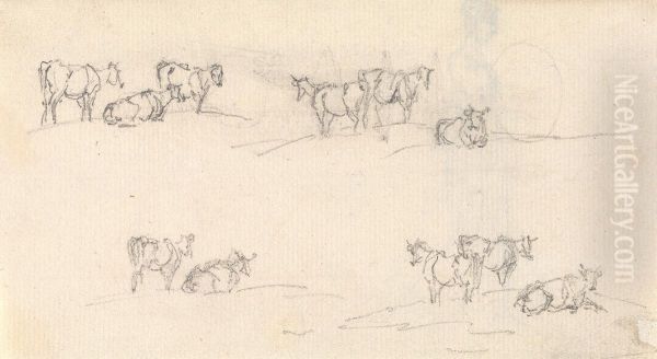 Studies of a Cattle - view 1