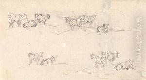 Studies of a Cattle by Sawrey Gilpin