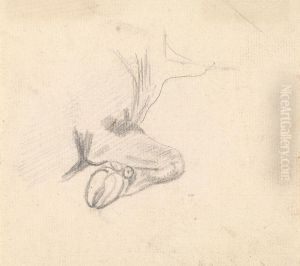 Study of a Cow's Hoof by Sawrey Gilpin