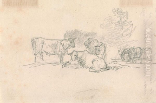 Sketch of Cattle - view 1