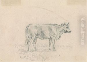 Sketch of a Cow by Sawrey Gilpin
