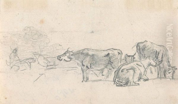 Cattle with herder in background - view 1