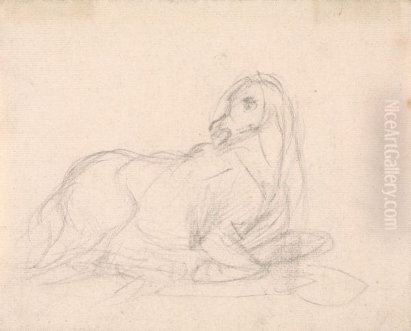 Study of a horse lying down - view 1