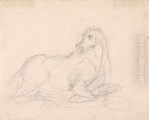 Study of a horse lying down