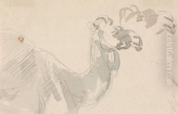 Study of a Camel - view 1